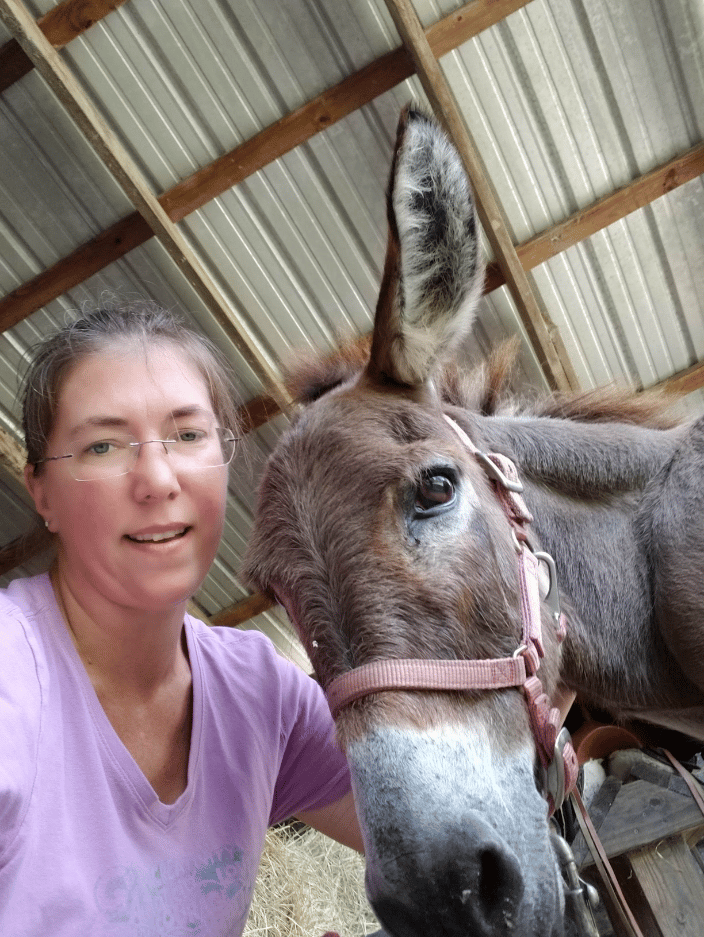 Working the Don Quioxte a miniature donkey