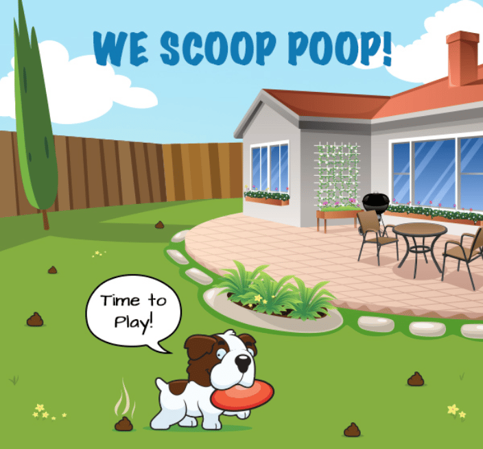 We Scoop Your Back Yard