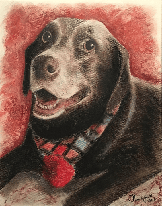 Happy mature dog