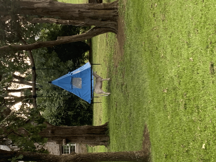 Some pics got sideways :)