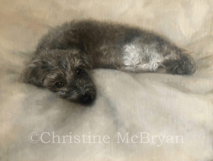 Stanley 11" x 14" oil on linen on panel