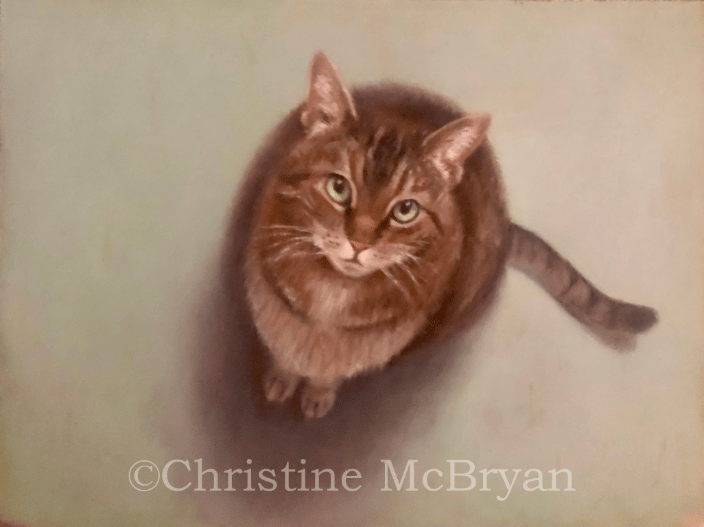 Koshka 9" x 12" oil on linen on panel