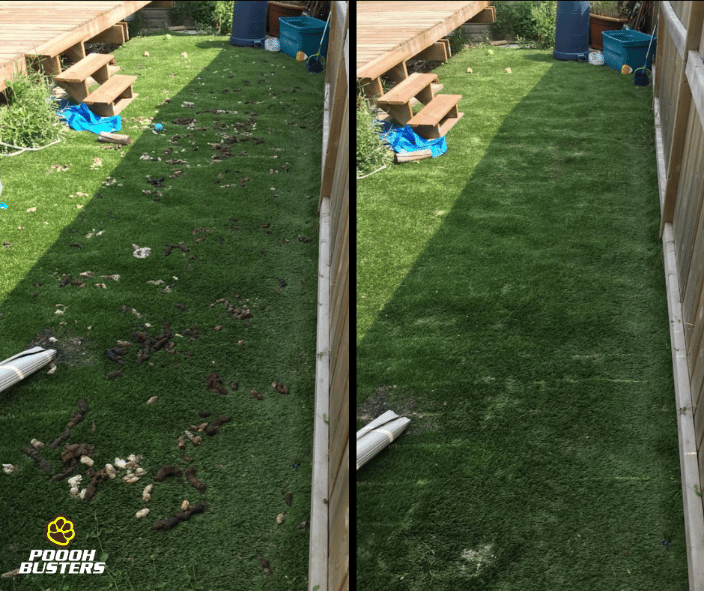 Summer service before and after picture