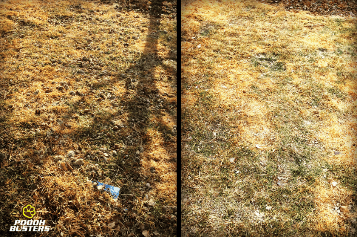 Fall service before and after picture