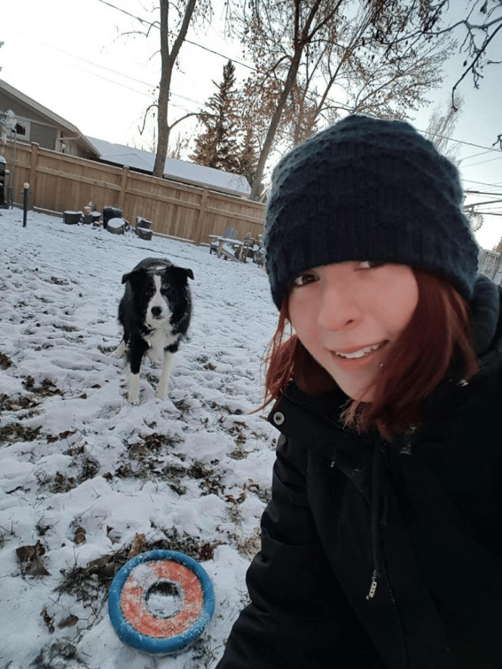 Our team working and playing with client's dogs.