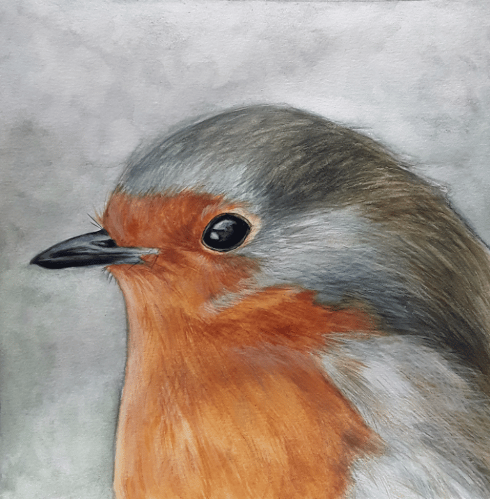 Robin