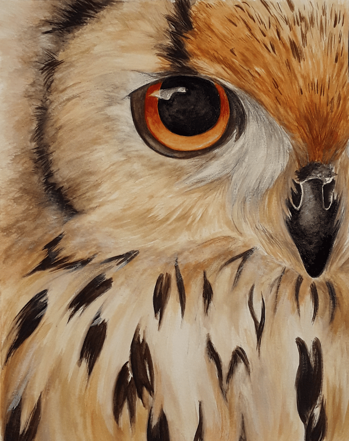Owl