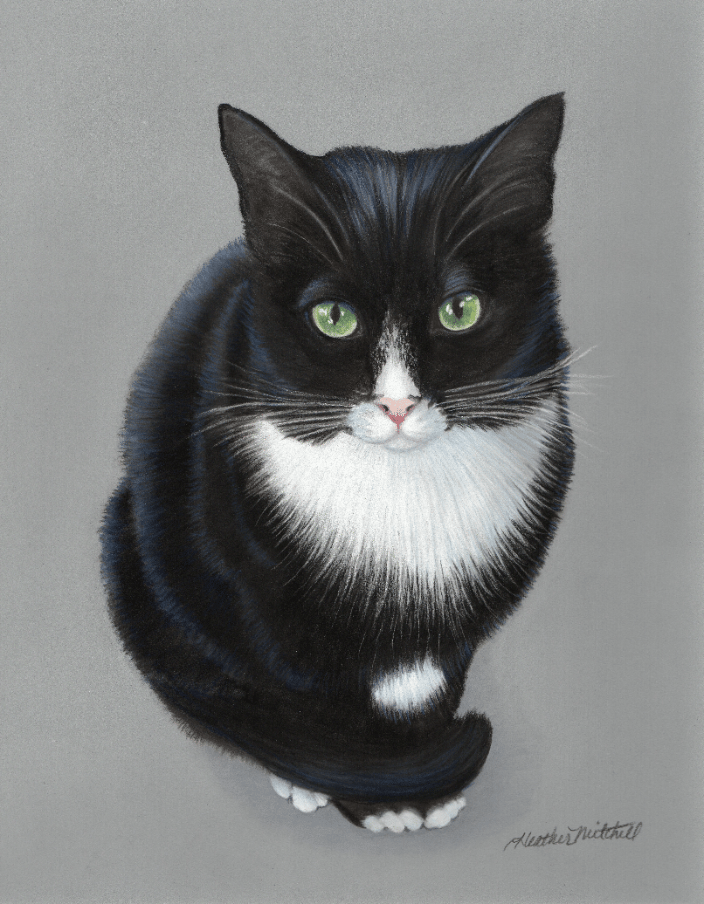 Pastel portrait of a Tuxedo Cat by artist Heather A. Mitchell. 11" x 14" unframed.