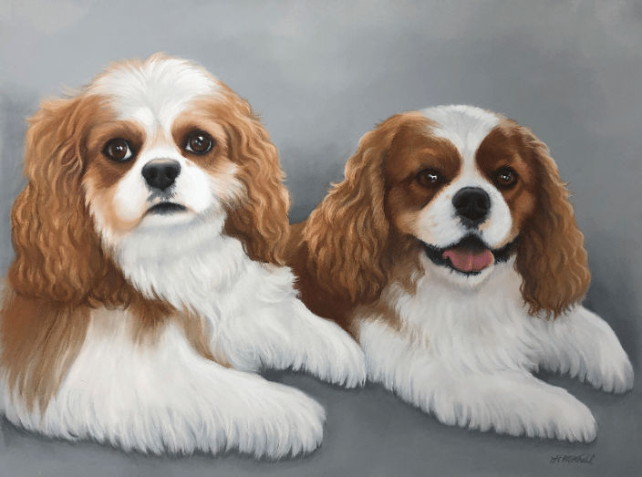 Pastel Portrait of Cavalier King Charles Spaniels by artist Heather A. Mitchell.. 18" x 24" unframed.