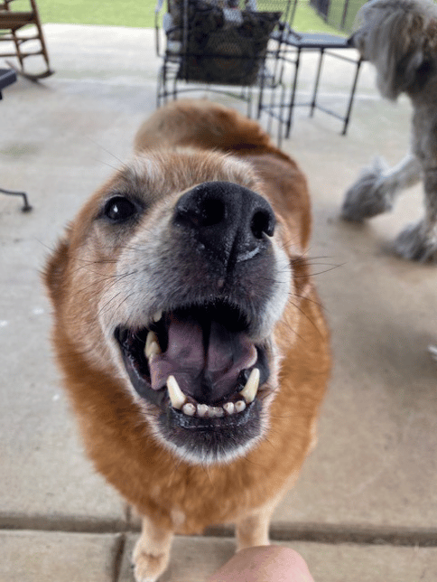 Mitzi says hello!