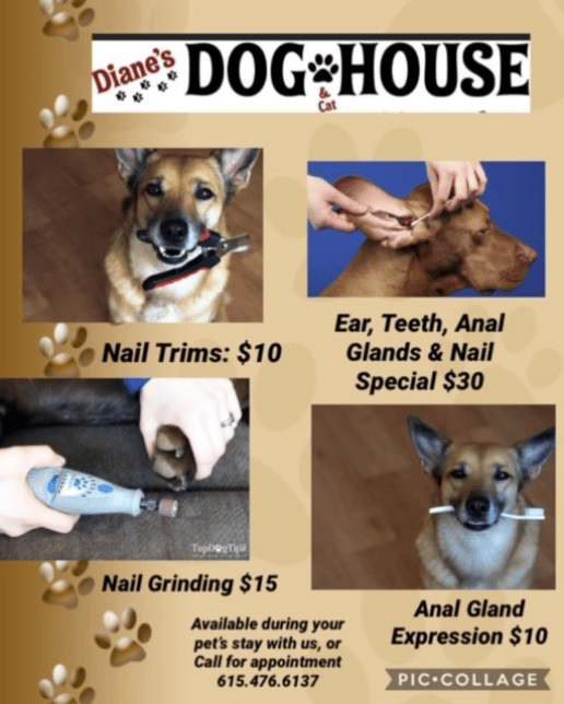 We offer some grooming services as well!  We will even bathe your pet upon request!