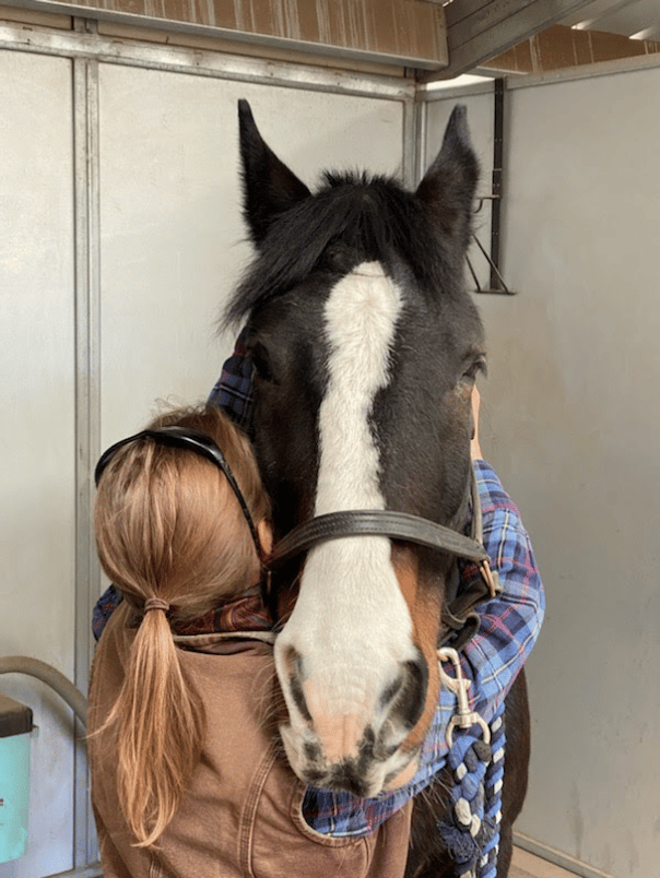 Assessment of the upper Cervical Spine