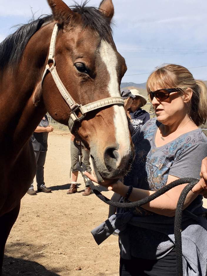 My first live EFT Tapping session on a horse. She loved it! 