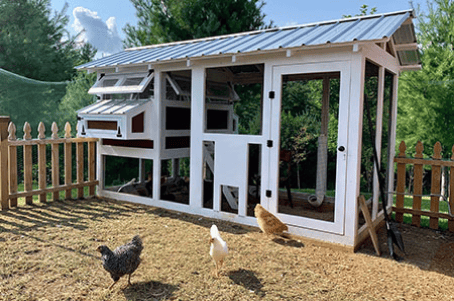 6'x12' American Coop with chicken run door assembled and painted by customer in NC
