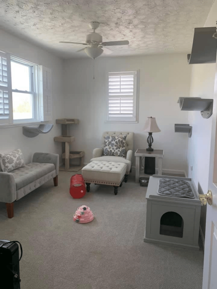 Bedroom for cat boarding