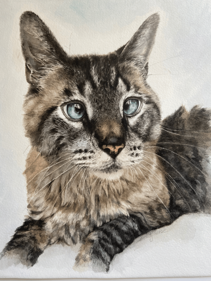 Pooka 10x12 watercolor