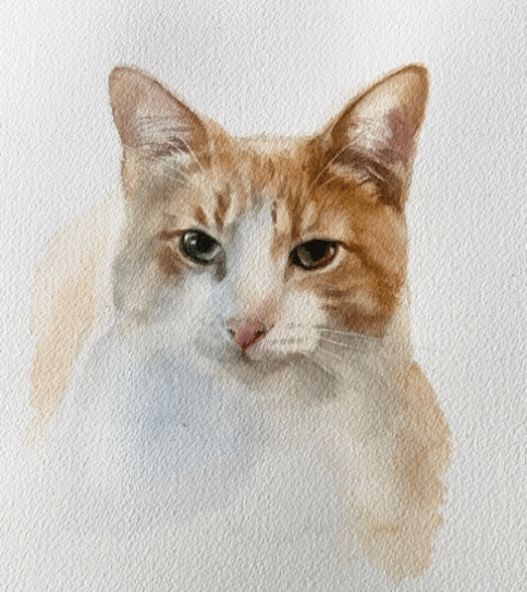 Tommy 8x10 watercolor sketch