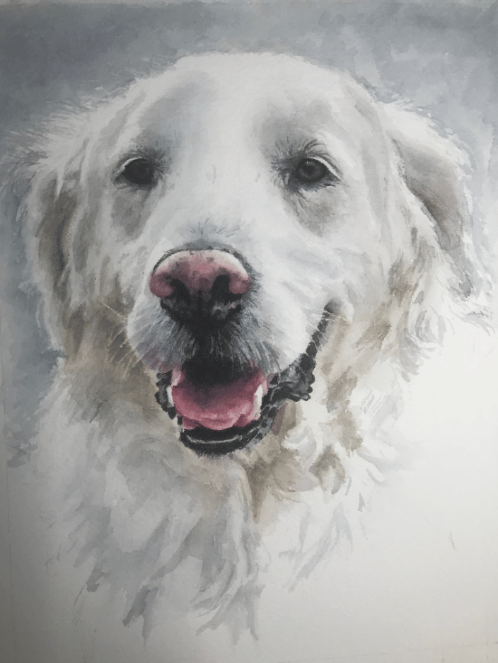 Bruce 8x10 watercolor sketch