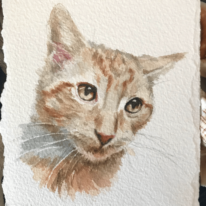 Zeus 4x4 watercolor sketch