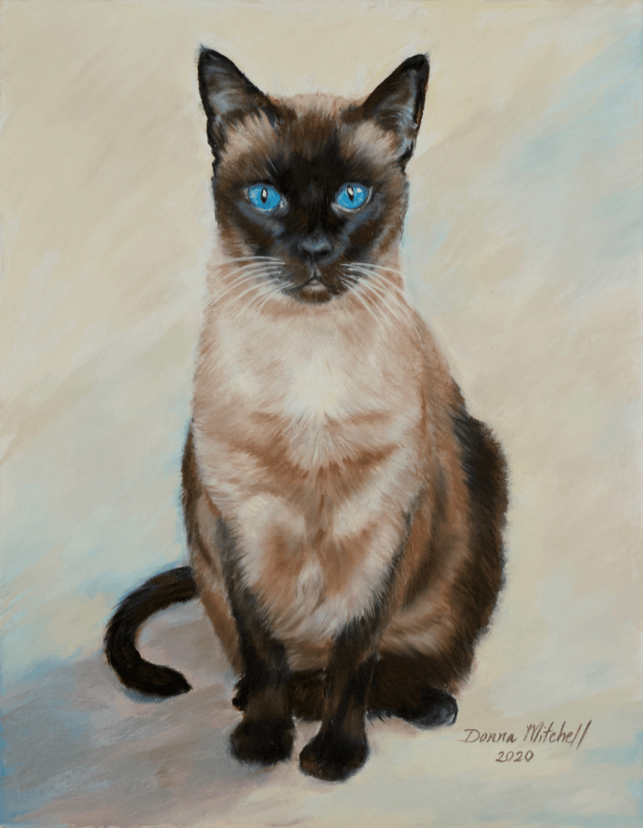 Angel Baby ~ Siamese, pastel, 14 x 11"