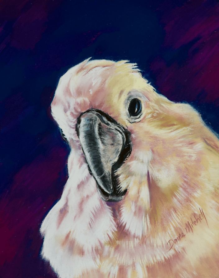 Beretta ~ White Cockatoo, pastel, 9.25 x 7.5"