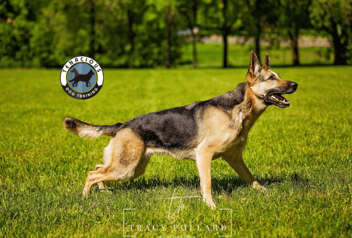 GSD