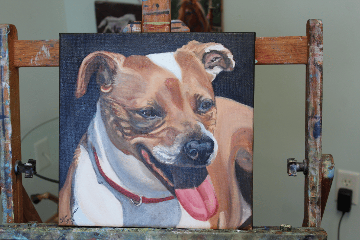 a pit bull mix pet portrait