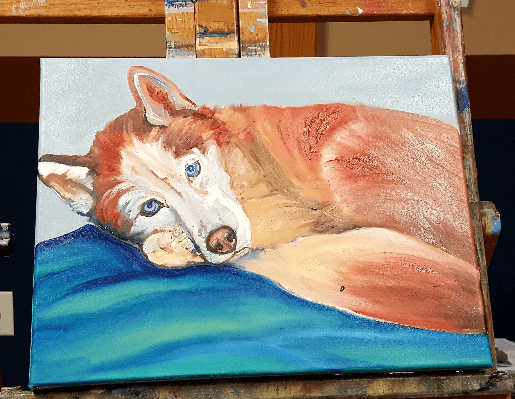 Husky pet portrait