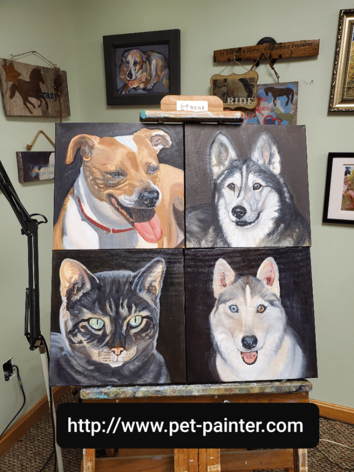 pet portraits