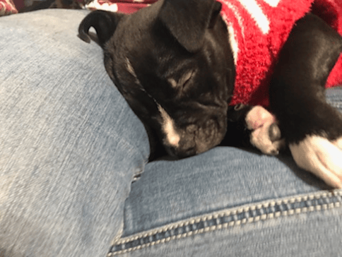 this cutie was all tired out after a fun day of play! need someone to tucker you little one out while your at work? text me at 517-775-8307