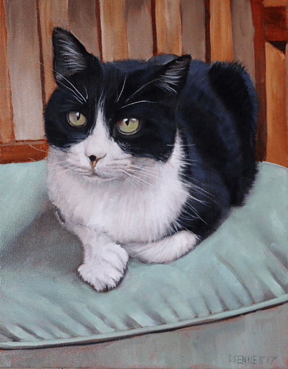 Kitty