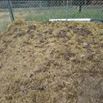 DIRTY KENNEL