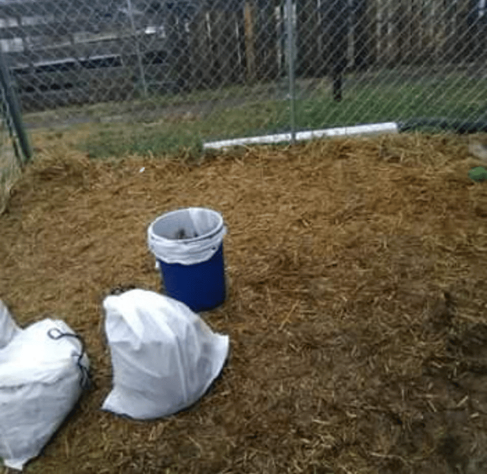 CLEAN KENNEL