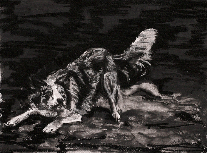 Charcoal Drawing