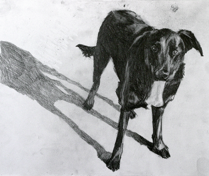 Graphite Drawing