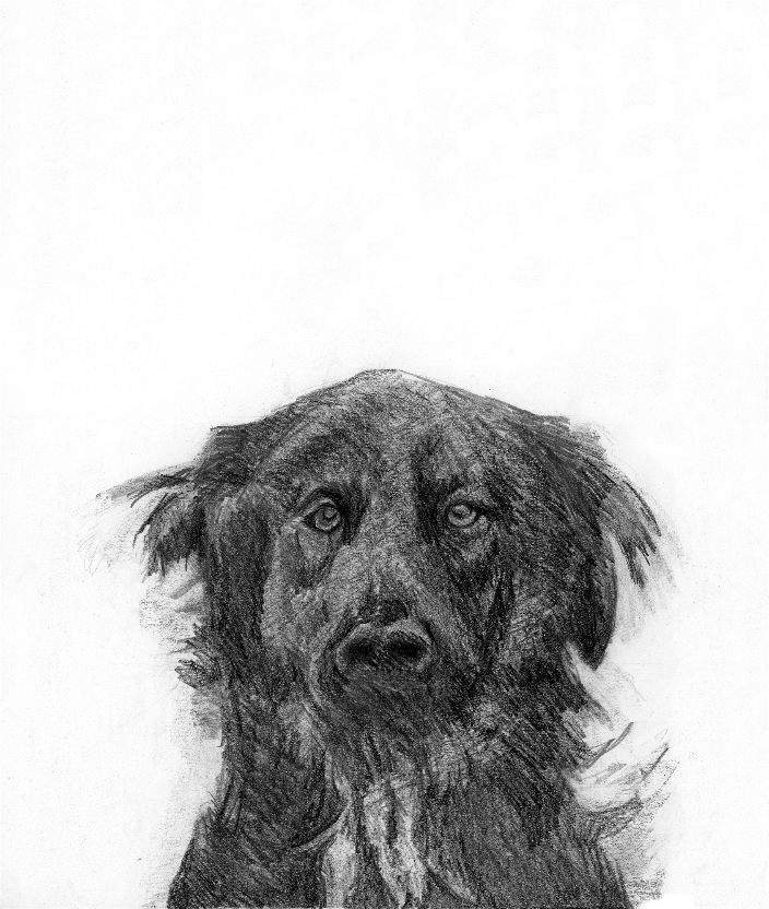 graphite drawing