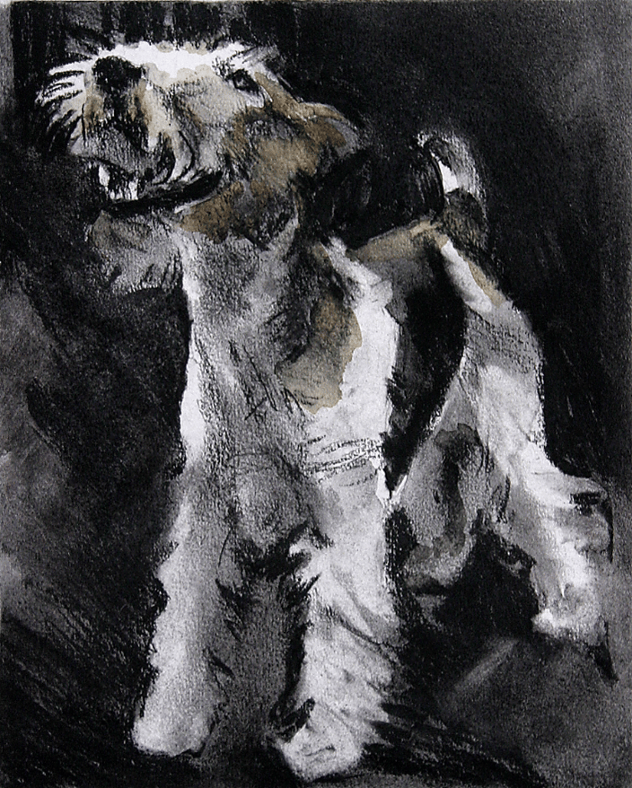 Huey, charcoal on paper 8 x 10" 2011