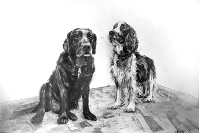 graphite on paper 2015