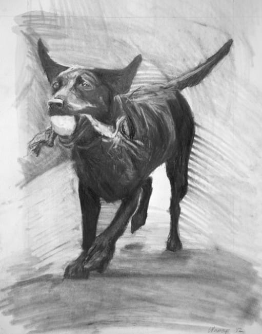 Angie, graphite on paper 2012