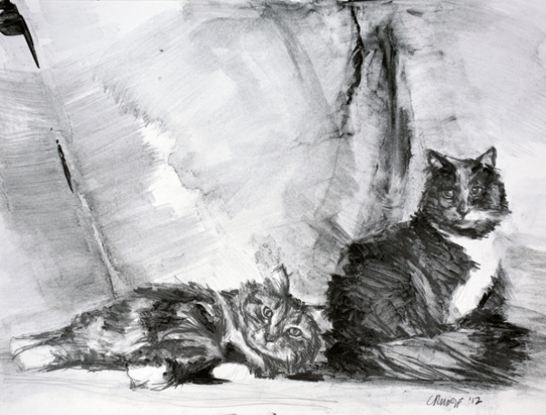 Socks and Gray Graphite on paper 11" x 14" 2012