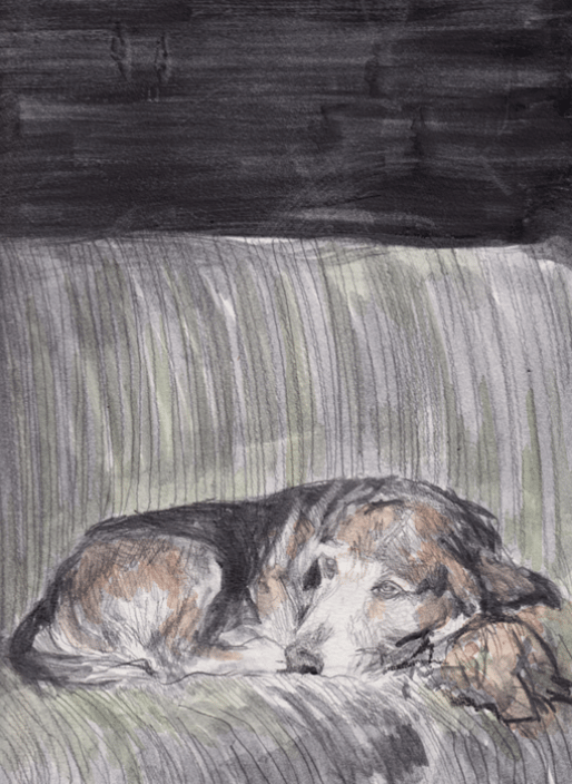 Cecil Graphite on paper with watercolor 9" x 12" 2012