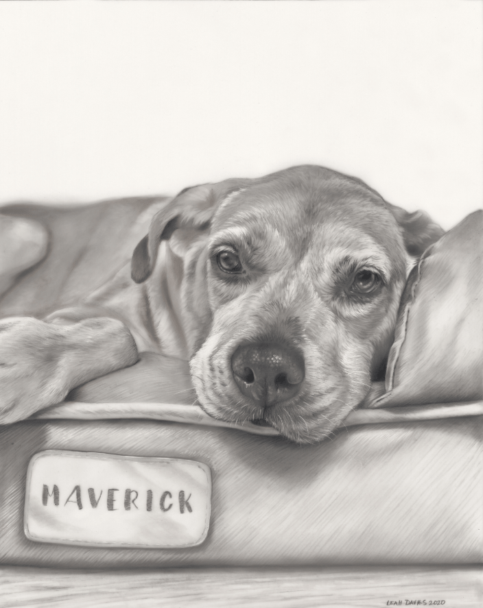 Maverick | Graphite on Drafting Film | 8x10