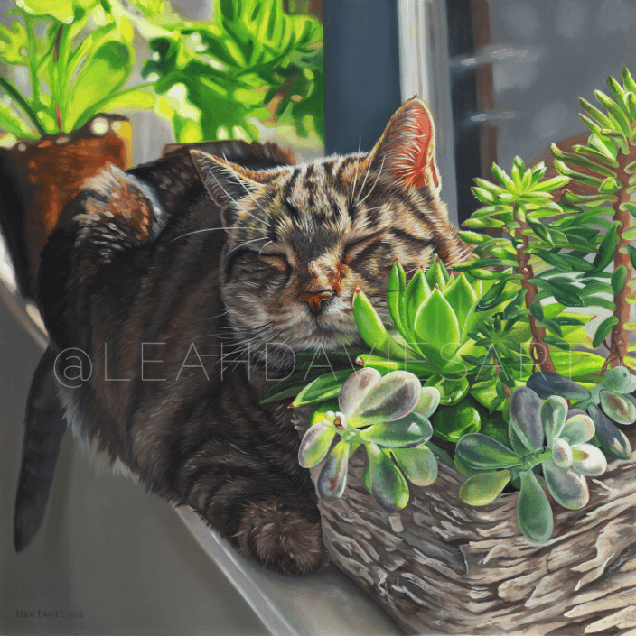 Duke Dreaming in the Succulents | Oil on Wood Panel | 10x10