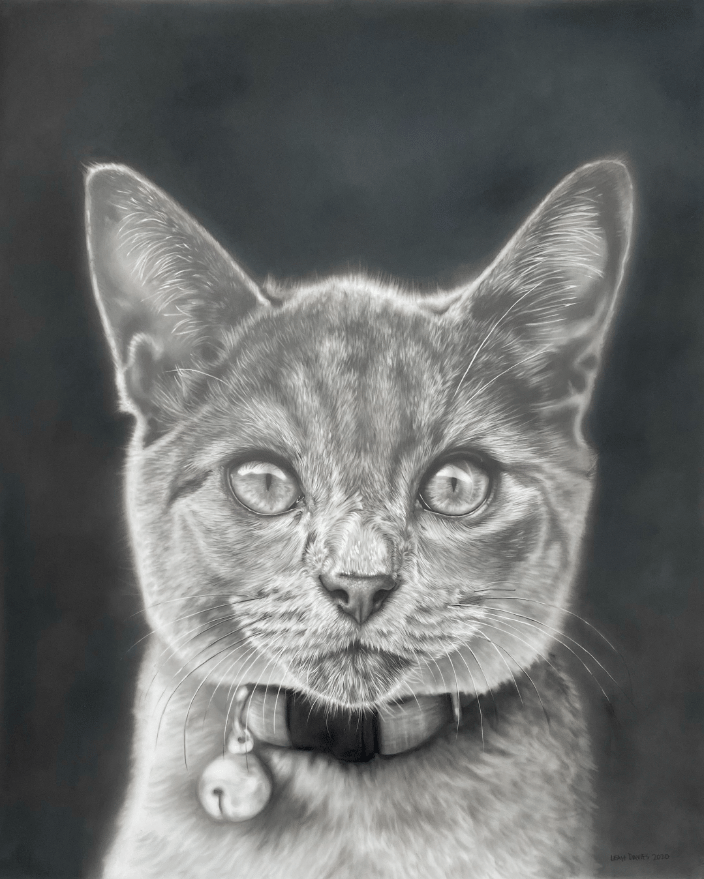 Sampson | Graphite on Drafting Film | 12x18