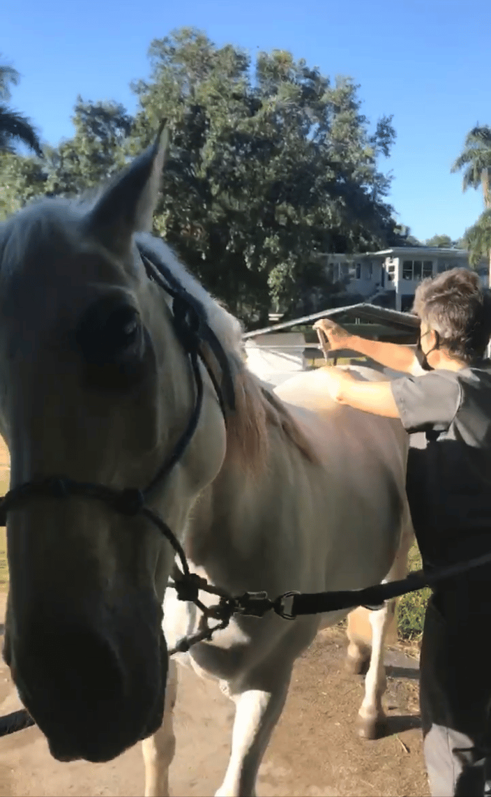 Lady is enjoying her adjustment.