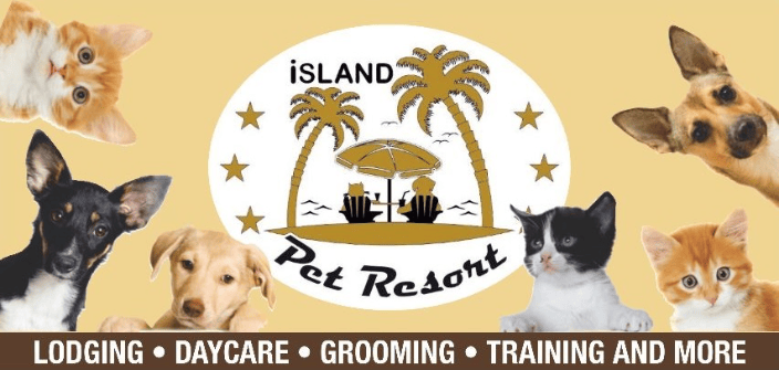 Dog salon staten island discount