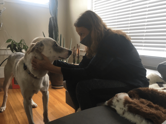 Rescue pup enjoying animal reiki healing.