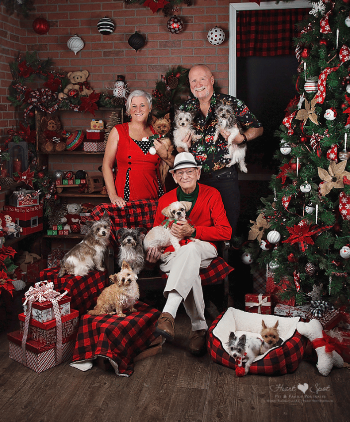 Holiday Session with 9 dogs
