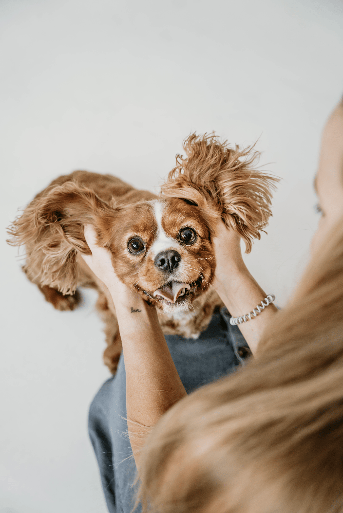 happy dog