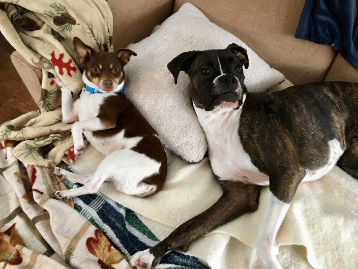 Toby and Izzy